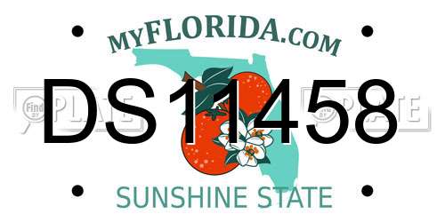 DS11458 Florida License Plate