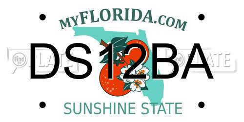 DS12BA Florida License Plate