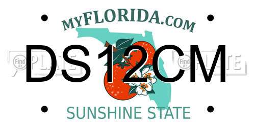 DS12CM Florida License Plate