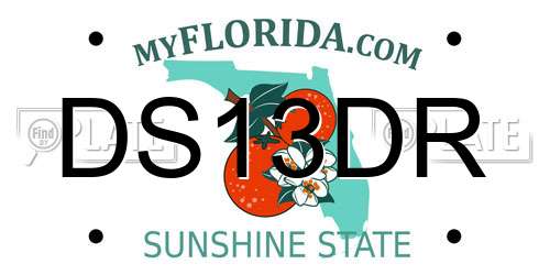 DS13DR Florida License Plate