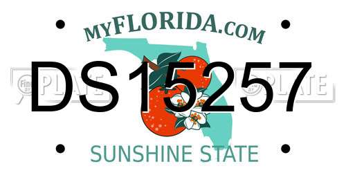 DS15257 Florida License Plate