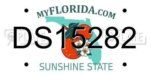 DS15282 Florida License Plate