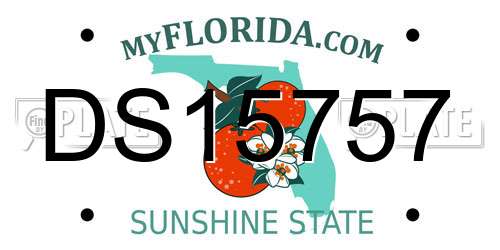 DS15757 Florida License Plate