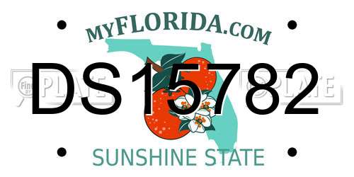 DS15782 Florida License Plate