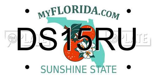 DS15RU Florida License Plate