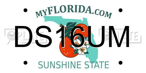 DS16UM Florida License Plate