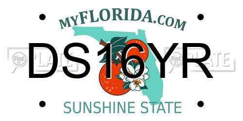 DS16YR Florida License Plate