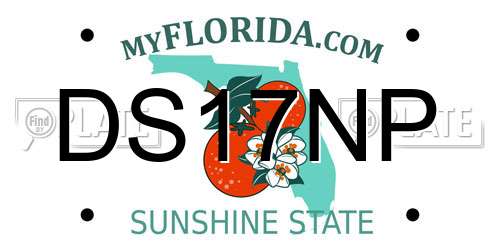DS17NP Florida License Plate