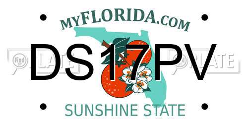 DS17PV Florida License Plate