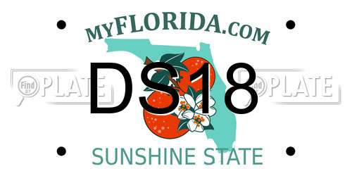 DS18 Florida License Plate
