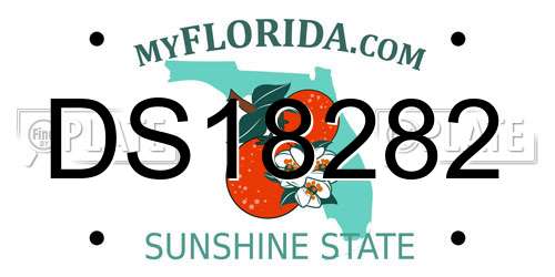 DS18282 Florida License Plate
