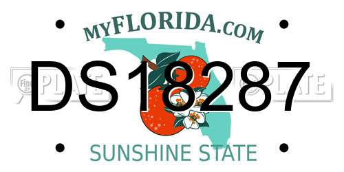 DS18287 Florida License Plate