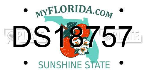 DS18757 Florida License Plate