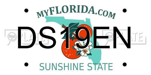 DS19EN Florida License Plate