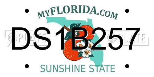DS1B257 Florida License Plate