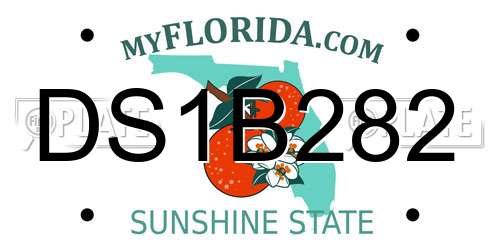 DS1B282 Florida License Plate