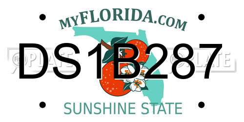 DS1B287 Florida License Plate