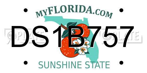 DS1B757 Florida License Plate