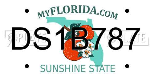 DS1B787 Florida License Plate