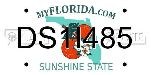 DS1I485 Florida License Plate