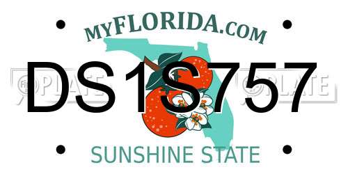 DS1S757 Florida License Plate