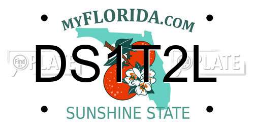 DS1T2L Florida License Plate