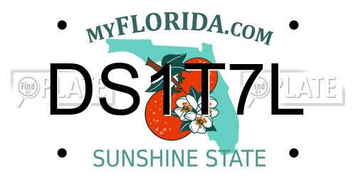 DS1T7L Florida License Plate