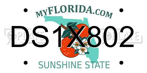 DS1X802 Florida License Plate