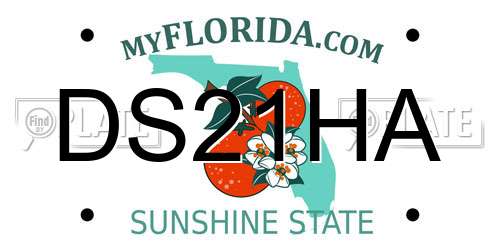 DS21HA Florida License Plate