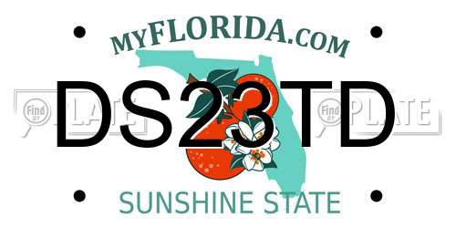 DS23TD Florida License Plate