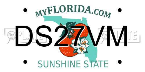 DS27VM Florida License Plate