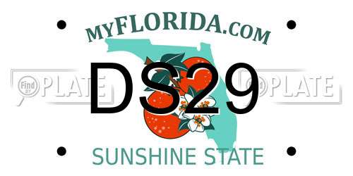 DS29 Florida License Plate