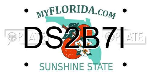 DS2B7I Florida License Plate