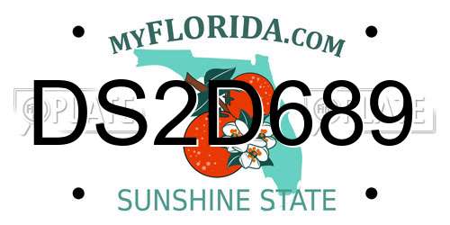 DS2D689 Florida License Plate