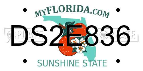 DS2E836 Florida License Plate