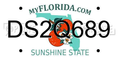 DS2Q689 Florida License Plate