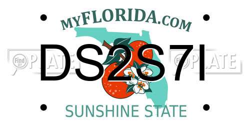 DS2S7I Florida License Plate