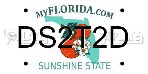 DS2T2D Florida License Plate