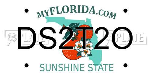 DS2T2O Florida License Plate