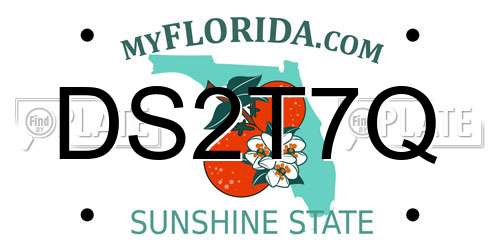 DS2T7Q Florida License Plate