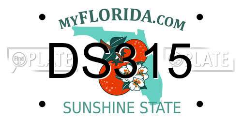 DS315 Florida License Plate