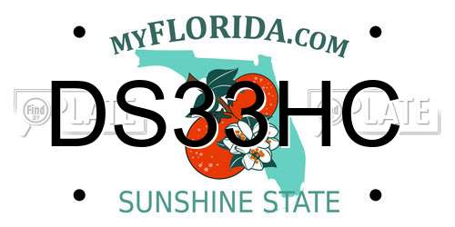 DS33HC Florida License Plate