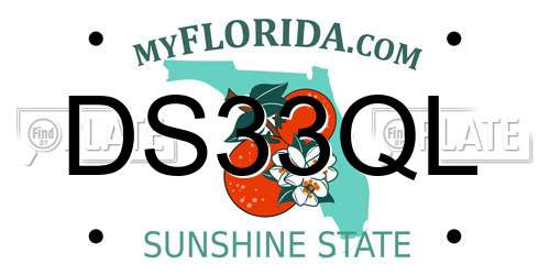 DS33QL Florida License Plate