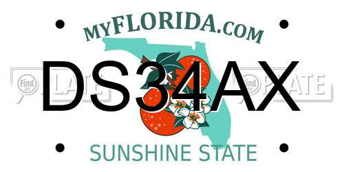 DS34AX Florida License Plate