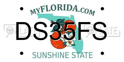 DS35FS Florida License Plate