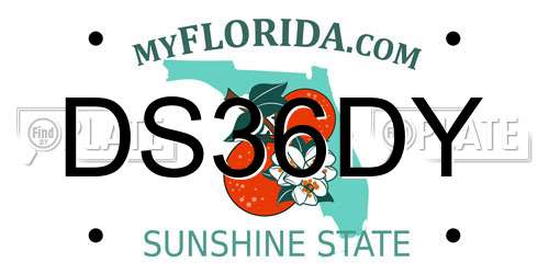 DS36DY Florida License Plate