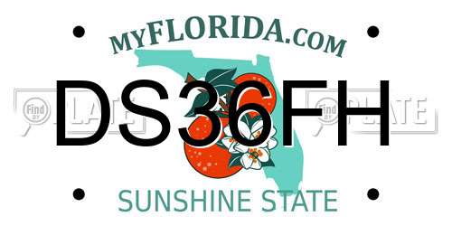 DS36FH Florida License Plate