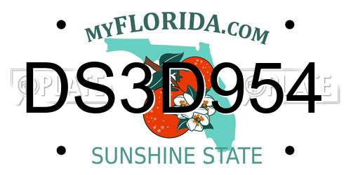 DS3D954 Florida License Plate