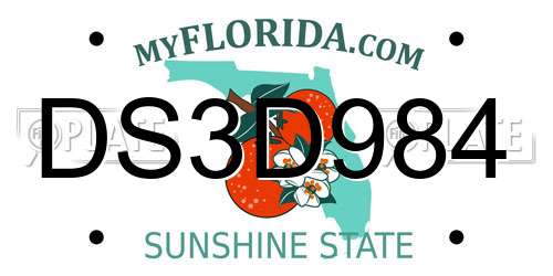 DS3D984 Florida License Plate