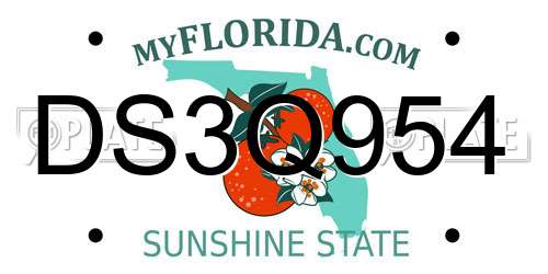 DS3Q954 Florida License Plate